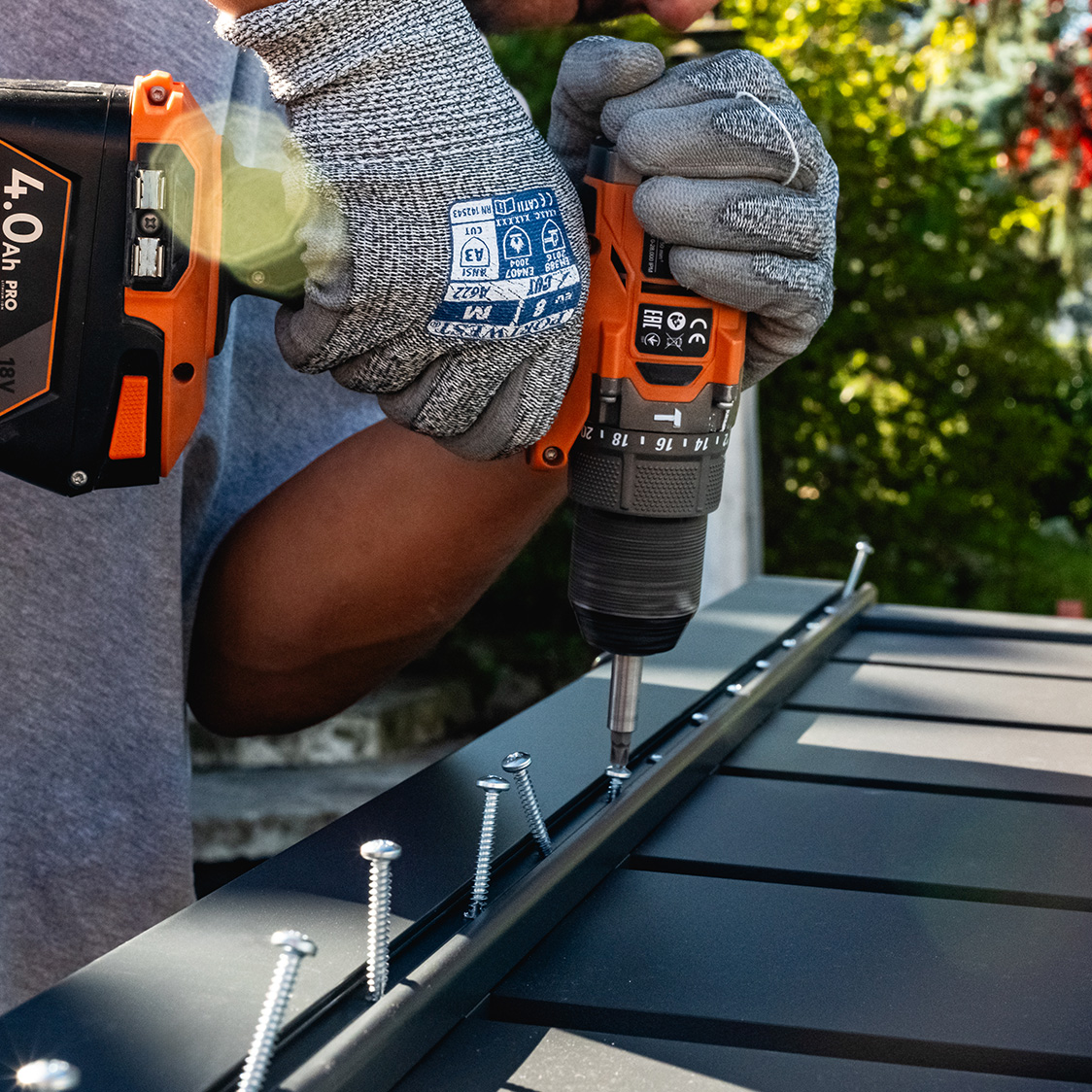 Entdecken Sie Casanoov